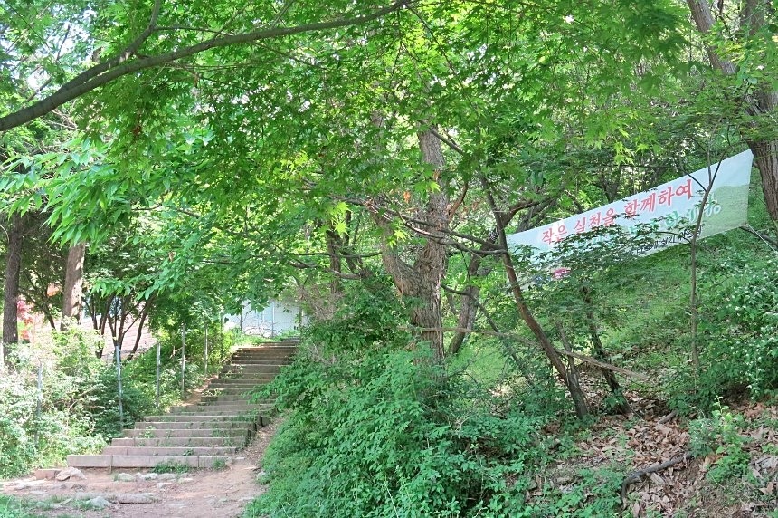 보문산 이미지