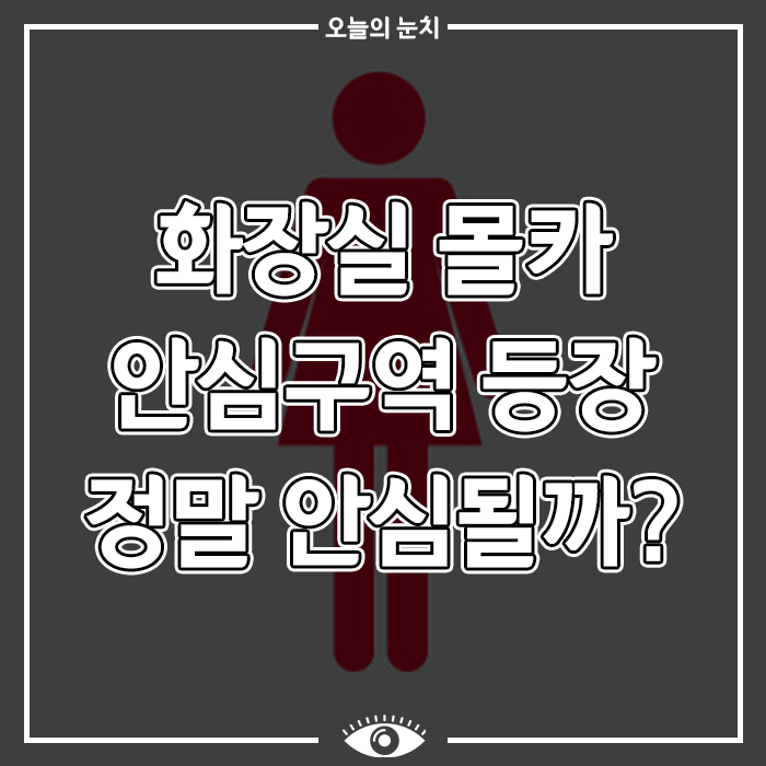 서울시 화장실 몰카 안심구역 추진 계획 공공화장실 점검